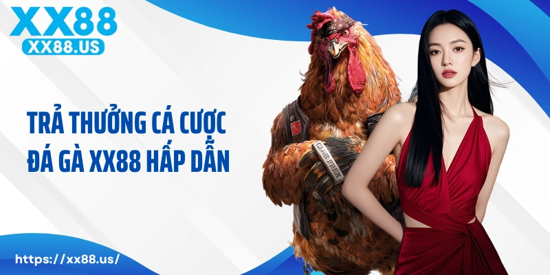 Trả thưởng cá cược đá gà XX88 hấp dẫn
