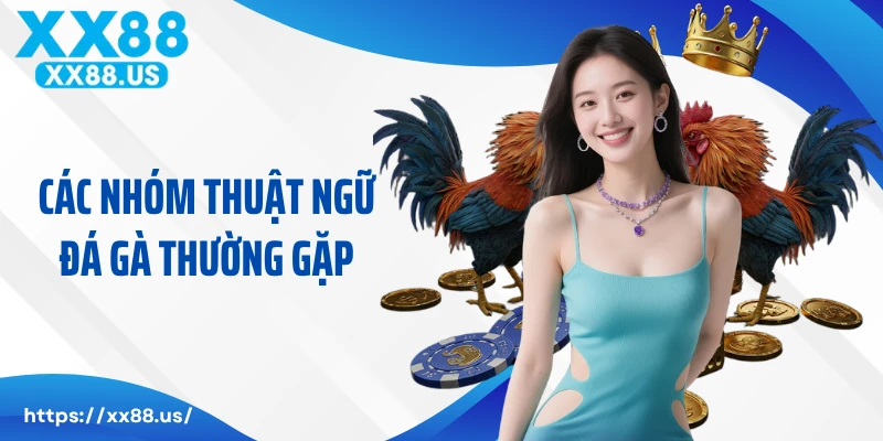 Các nhóm thuật ngữ đá gà thường gặp