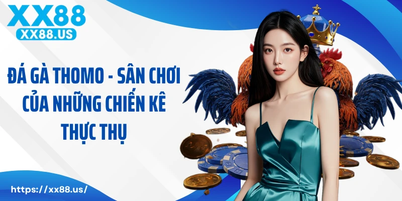 Đá Gà Thomo - Sân Chơi Của Những Chiến Kê Thực Thụ